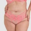 Enchanted Dreaming Of You Brazilian Knicker - Pink 2 Enchanted Dreaming Of You Brazilian Knicker - Pink -BRAS N THINGS Sales enchanted dreaming of you brazilian knicker pink 01359802 18
