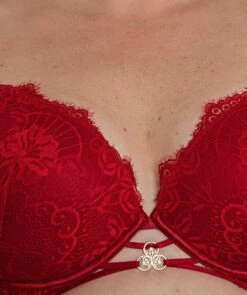 Ingrid Contour Plunge Bra - Dark Red -BRAS N THINGS Sales ingrid contour plunge bra dark red 01279103 5