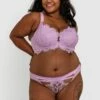 Vamp Back For More Push Up Bra - Lilac -BRAS N THINGS Sales vamp back for more push up bra lilac 01364502 3